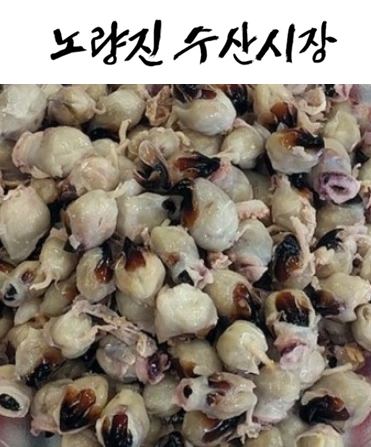 오징어입500g/냉동/총알배송 : 삼성수산