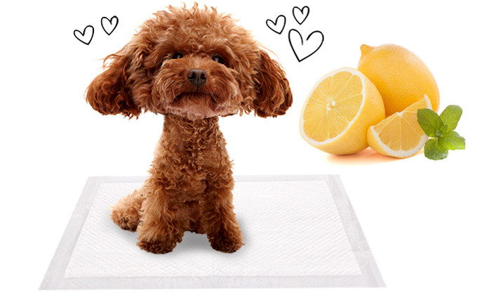 Domestic one piece stall dog puppies 15g 200 sheet