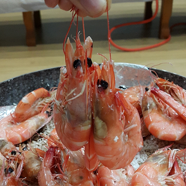 인간극장 미선씨네 양식 활새우 1kg 흰다리새우 국산 왕새우(당일채취) 24마리내외 : 소문난수산