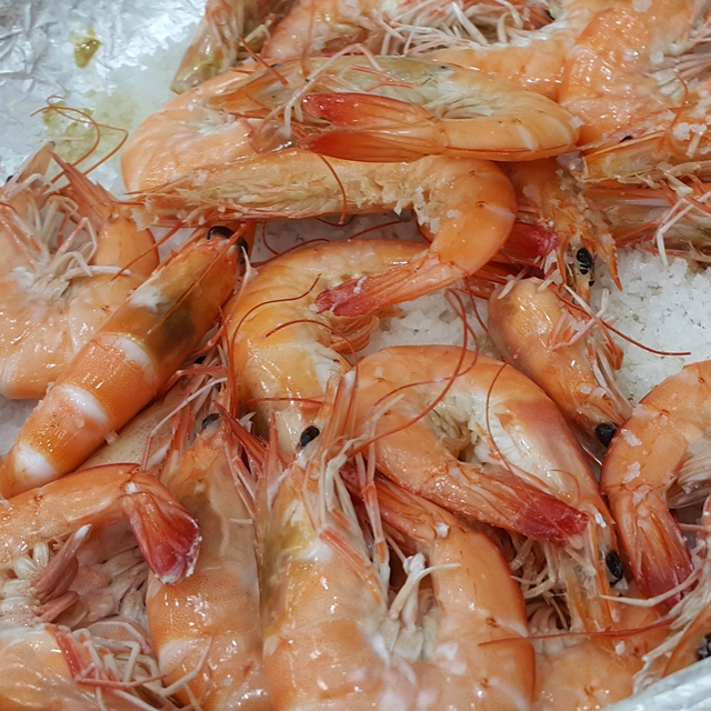 인간극장 미선씨네 양식 활새우 1kg 흰다리새우 국산 왕새우(당일채취) 24마리내외 : 소문난수산