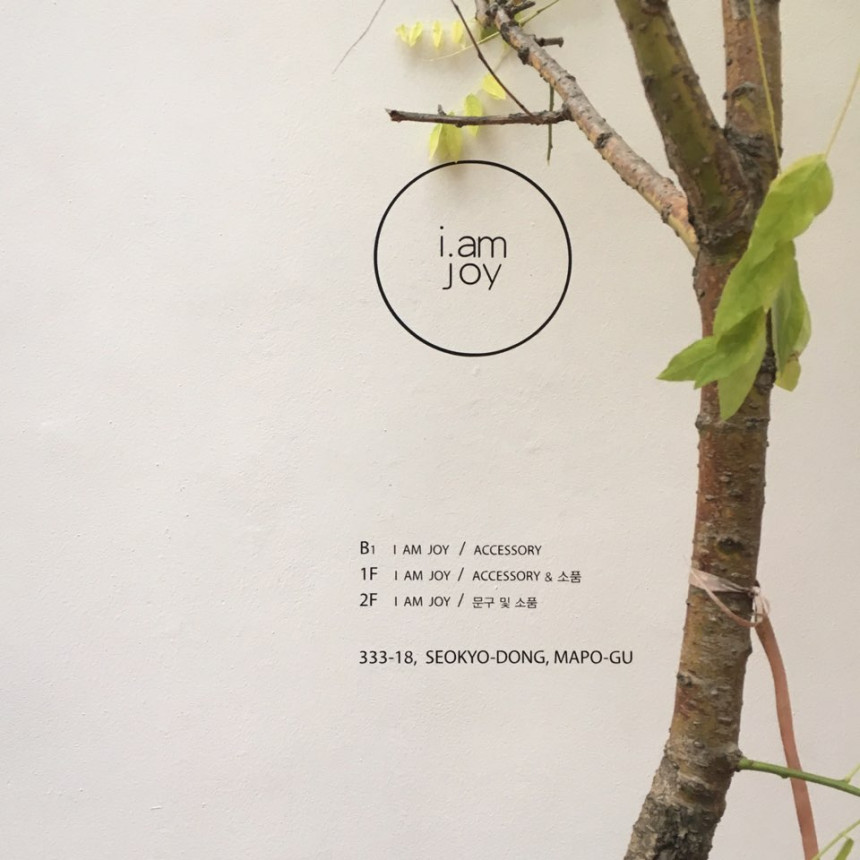 Herschel Mother-of-pearl Antique earrings Luxuriou