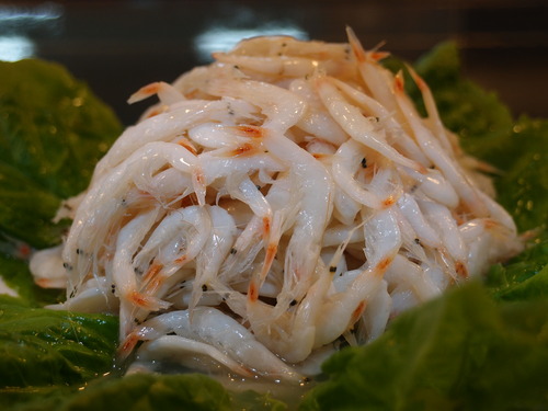 광천 토굴숙성 육젓(특) 새우젓 1kg ~ 5kg : 광천형제상회
