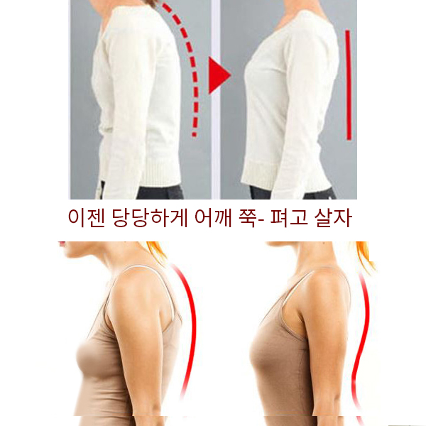 등펴밴드 등펴브라 어깨보정브라 메이크업 체형교정브라 : 도도란