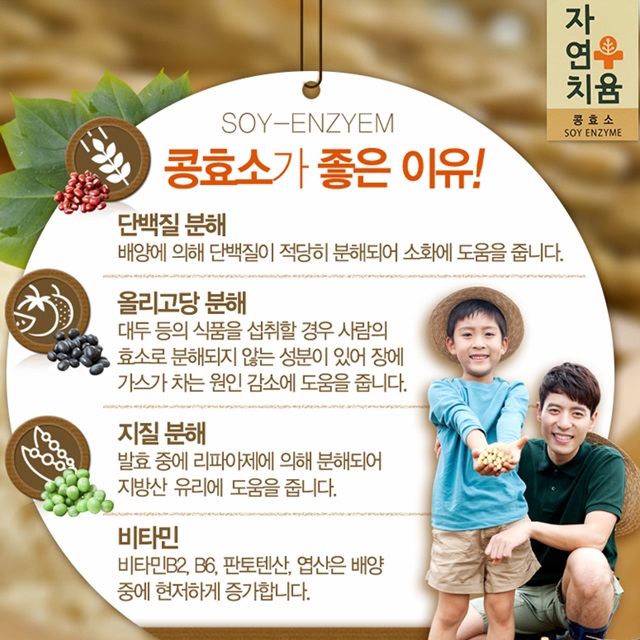 건강에 좋은 웰빙 전통 효소 된장 안전한 국내산 정성가득 맛난 : 리틀매니아