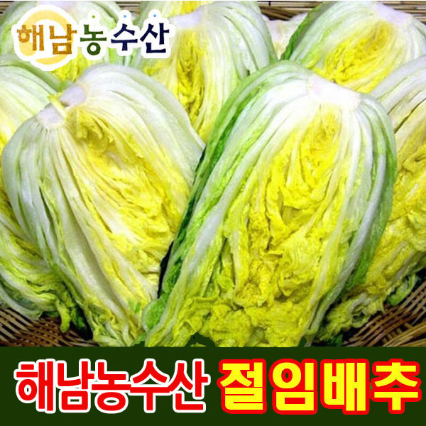김장 해남 절임배추 20kg 신안천일염 : 해남농수산