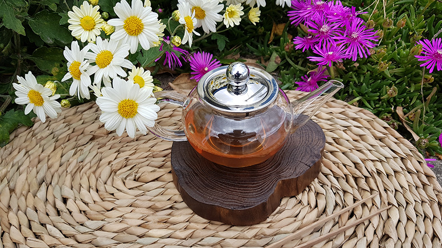 STAINLESS STEEL WATER TUBE 250ml hs-134a teapot