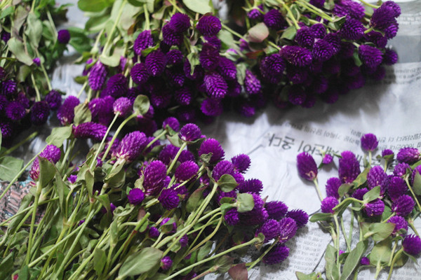 Message Soji Candle Fly Day Day Gift Dry Flower Pr
