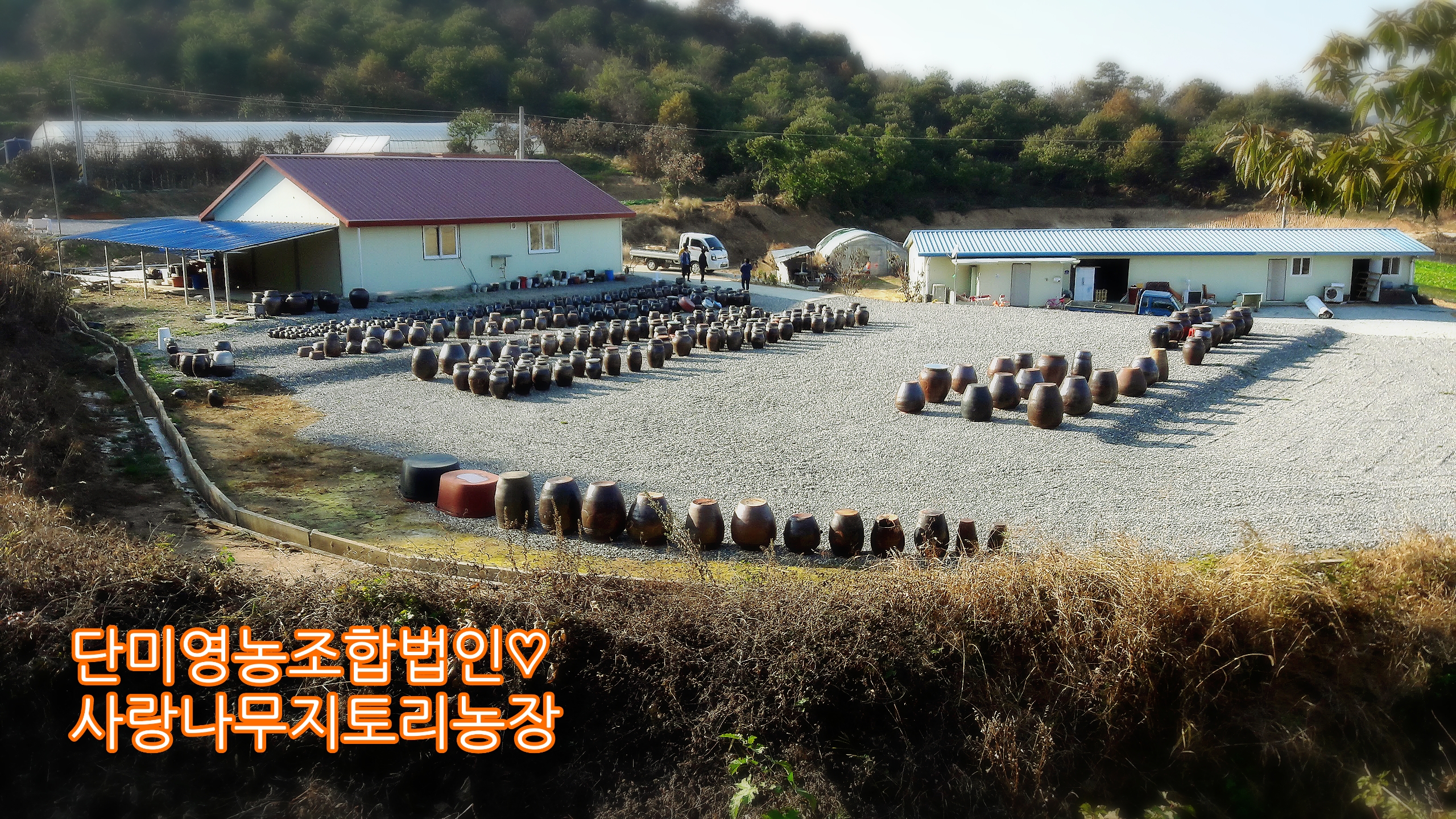 집된장 시골된장 사랑나무 지토리농장 된장 100g : 단미영농조합법인