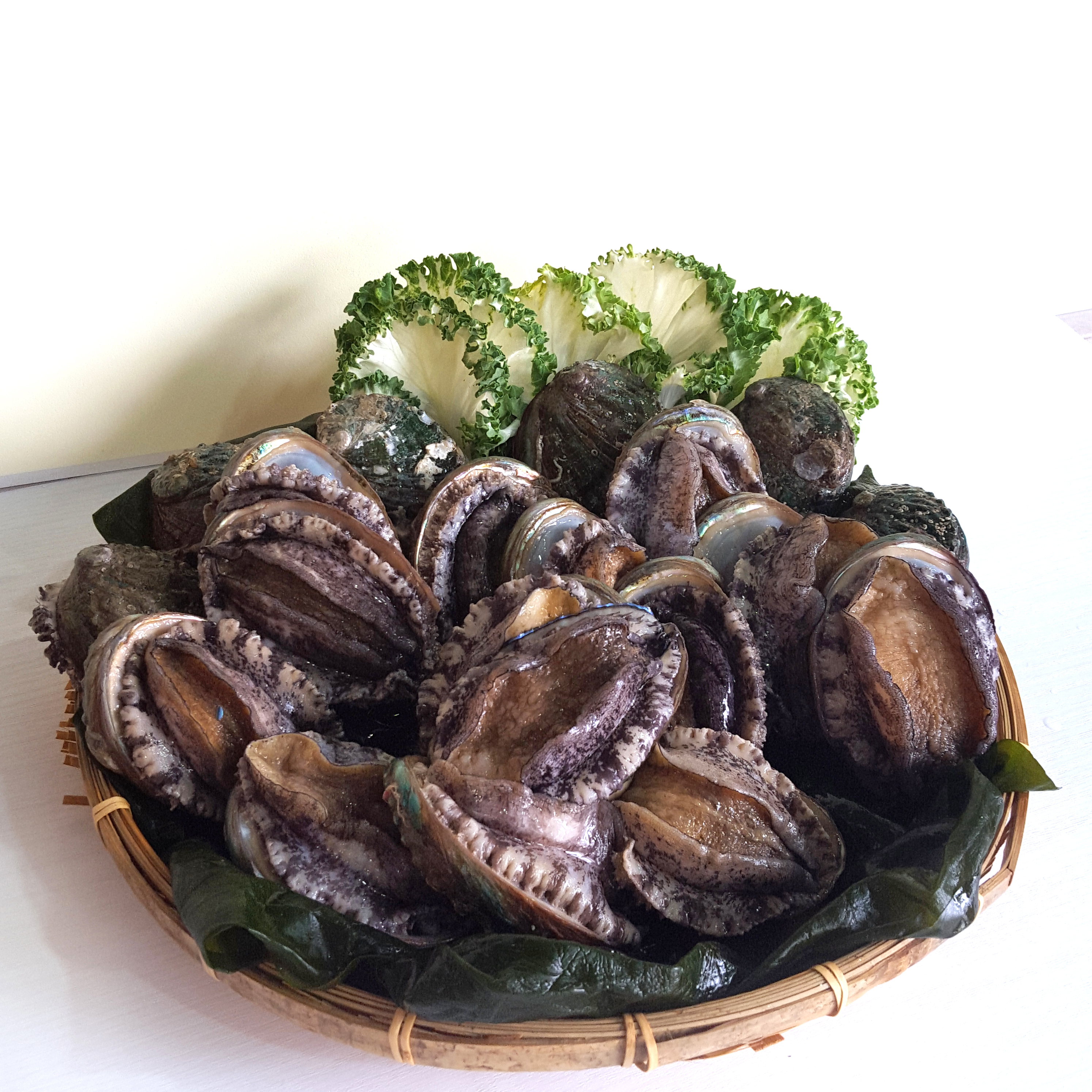 완도참전복 1kg 5~6미 [명품전복선물] , 킹전복,이바지 : 남도전복