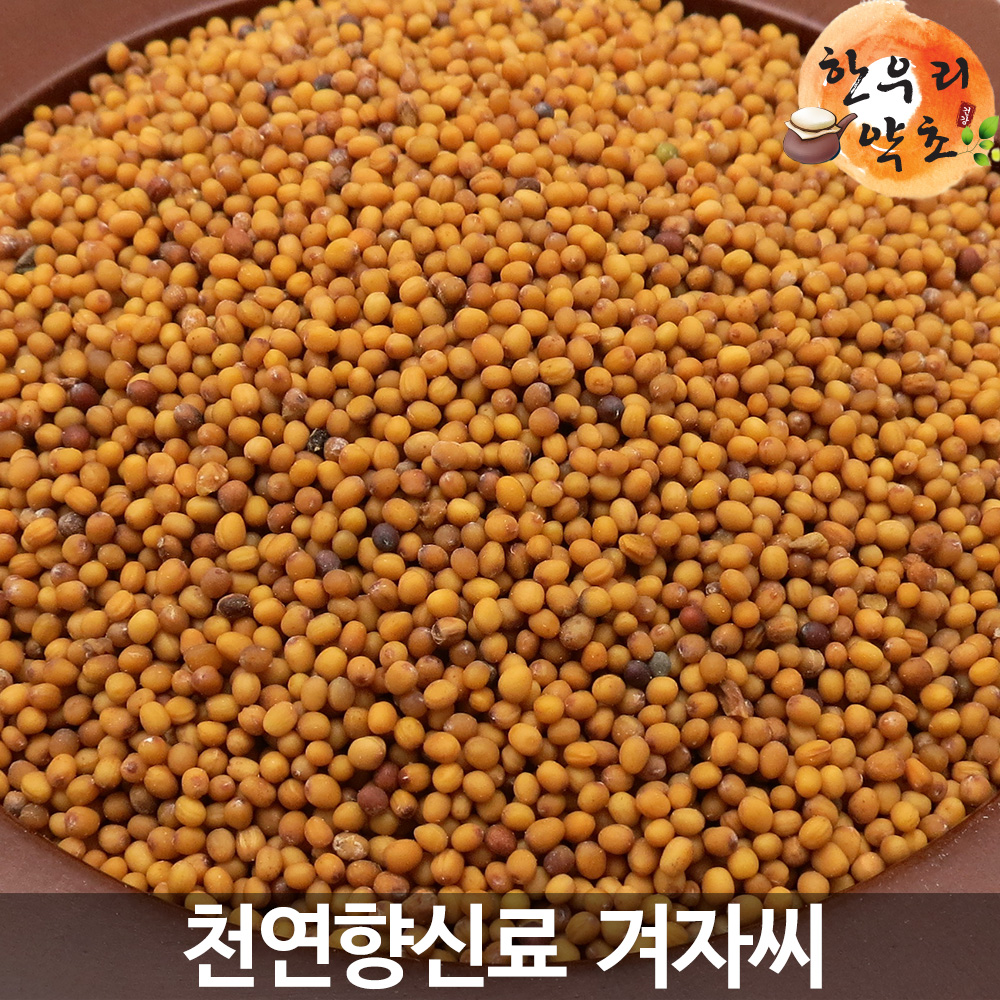 겨자씨 2kg 백개자 효능 먹는법 홀그레인 : 한우리약초