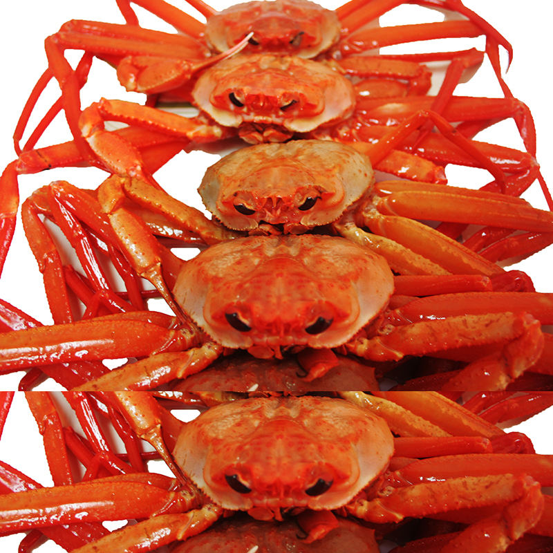 홍게 3kg 박달대게 선주직송(찜/자숙가능) : 프레쉬한마켓