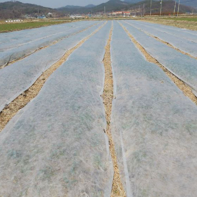 마늘부직포 18g 160cm x 200m 고추 터널 냉해 서리 방지 농업용 양파  막덮기 월동준비 못자리 비닐하우스 피복 보온 : 세원비닐