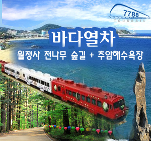 강릉/정동진 KTX 국내 당일치기 코레일 기차여행 [바다부채길/안목커피거리/중앙시장] : 코레일 기차여행