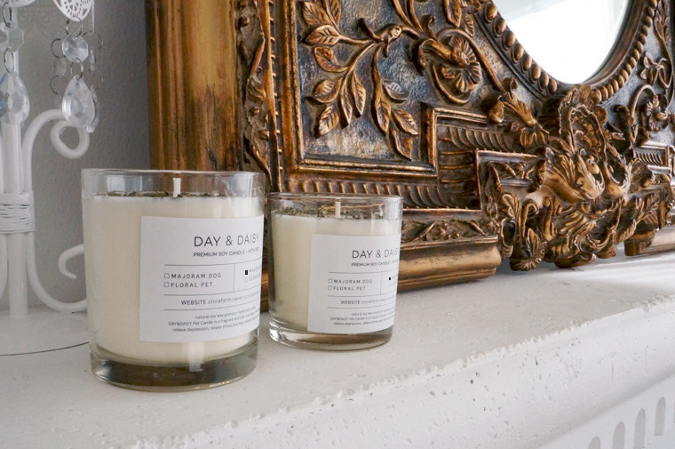 Dry herb natural soya candle companion animal odor