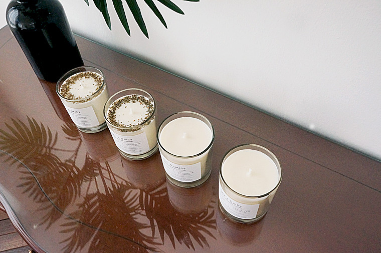 Dry herb natural soya candle companion animal odor