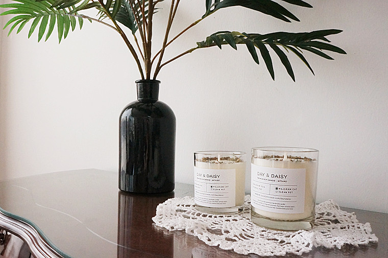 Dry herb natural soya candle companion animal odor