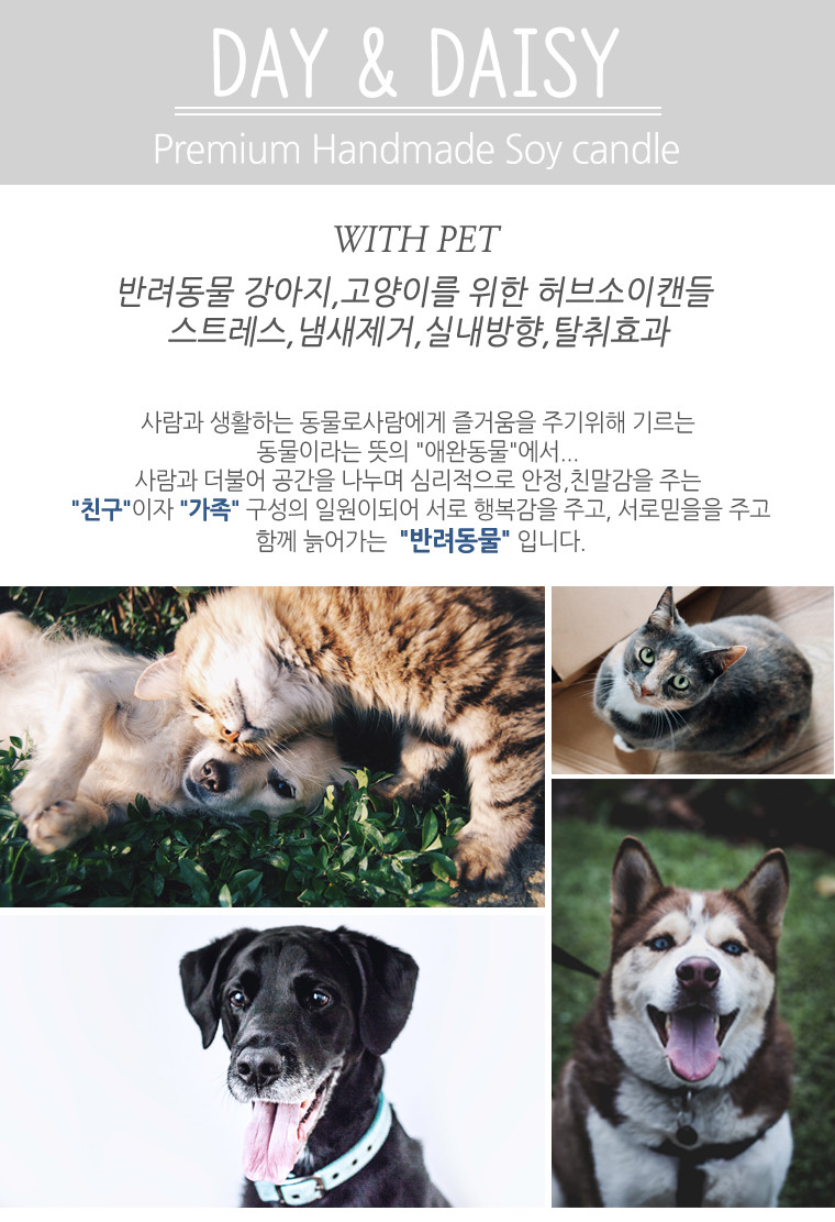 Dry herb natural soya candle companion animal odor