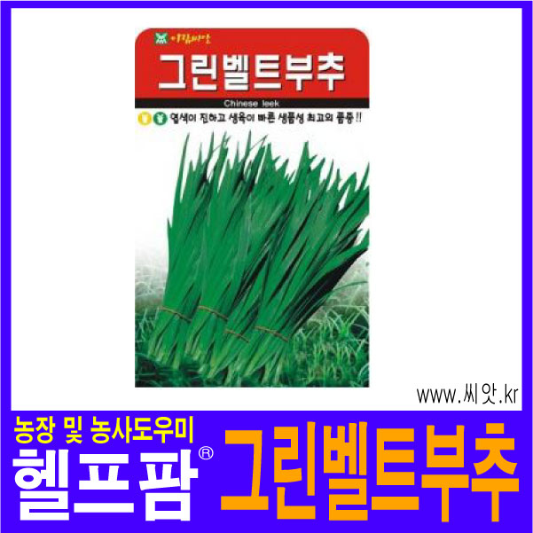 헬프팜 그린벨트부추 1000립 아람종묘 종자 씨앗 부추씨 : 헬프팜-help.farm