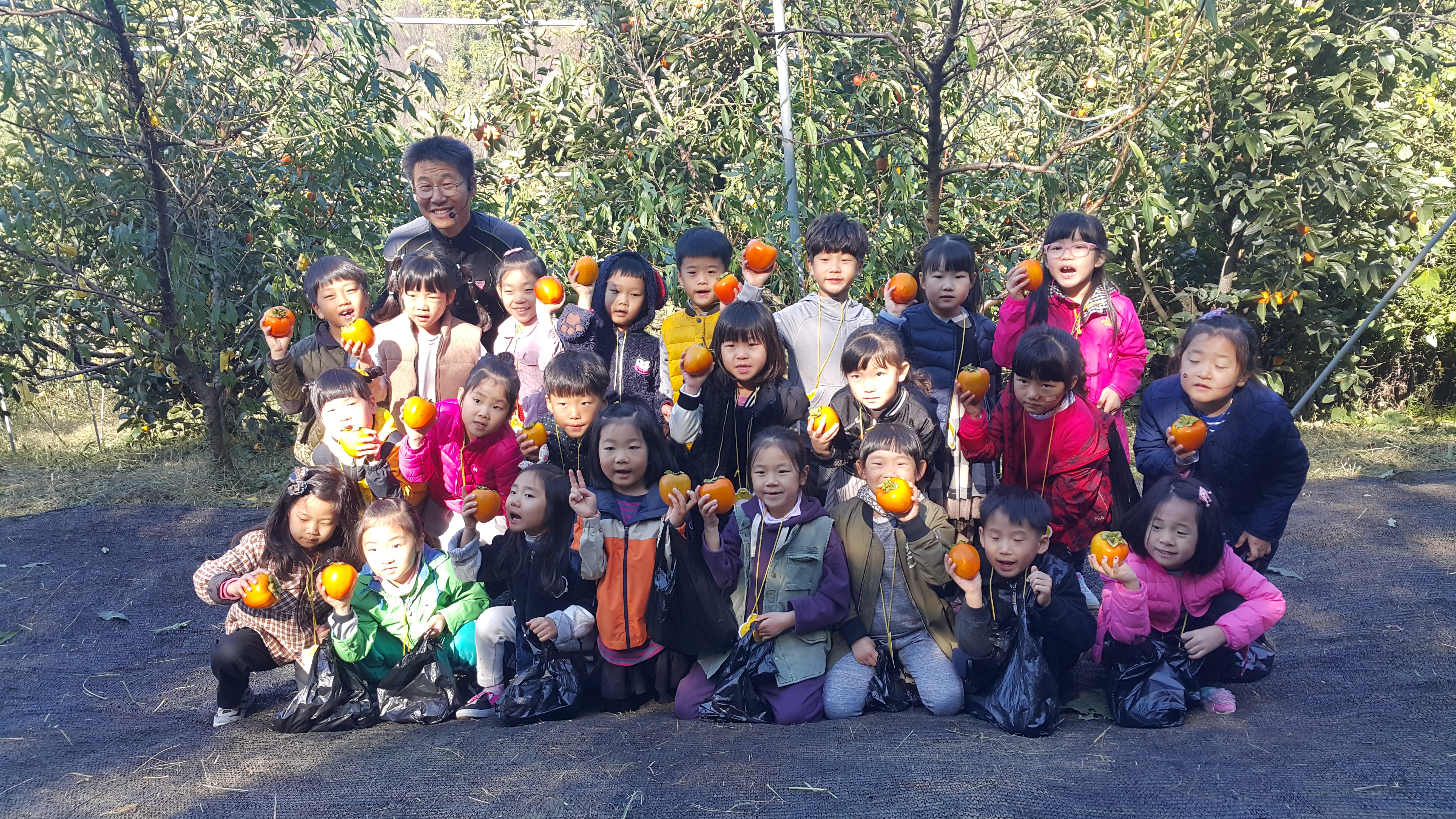 건지산천년드림학교의 감말랭이300g, 바삭, 촉촉하여 피부에 도움되며 영양이많아 아이도 좋아하는 감말랭이 : 건지산천년드림학교