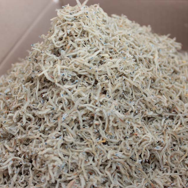 지리멸치 1.5kg 세세 볶음 세멸치 아기 잔멸치 : 곰손이