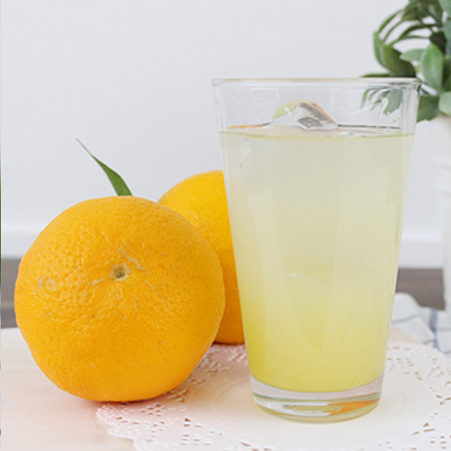 통 유자로 만든 하늘향기 유자 엑기스 500ml X 2병 /  유자 엑기스 1L X 2병 : 사그담
