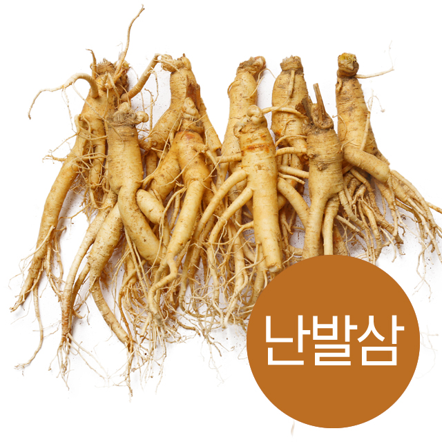 인삼 수삼 금산 순이네 난발삼 500g 세척 : 금산 순이네 인삼