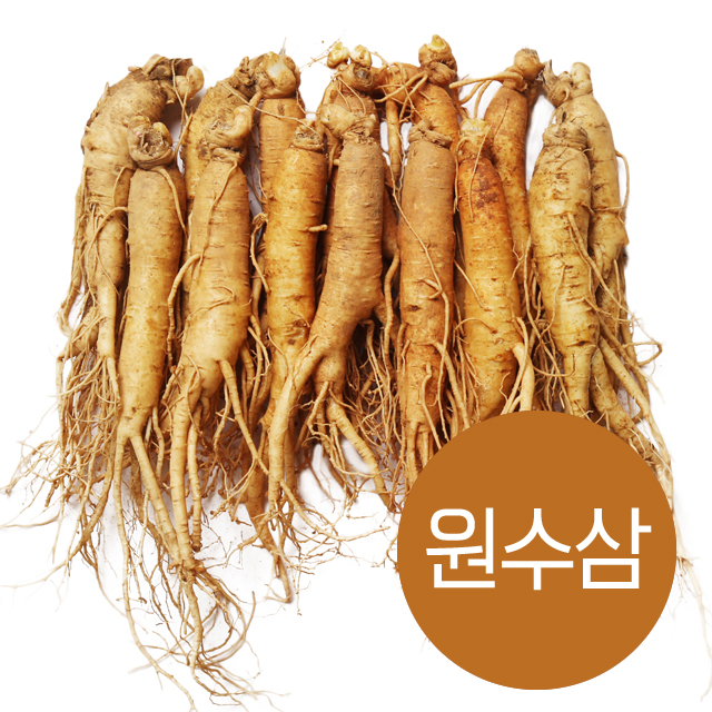 인삼 수삼 금산 순이네 난발삼 500g 세척 : 금산 순이네 인삼