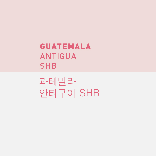 과테말라 안티구아 SHB (100g) : 윤시커피로스터스