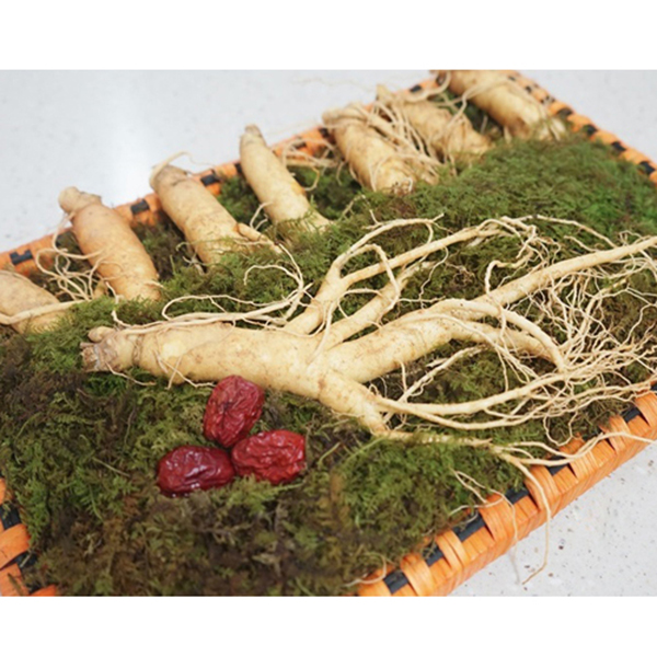 (금산인삼) 고려인삼 수삼 세트 1호 750g (6~8편) : 삼마켓