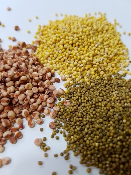 [24년산] 청차조/국산차조/차조/가격/효능/1kg : 경기쌀농산