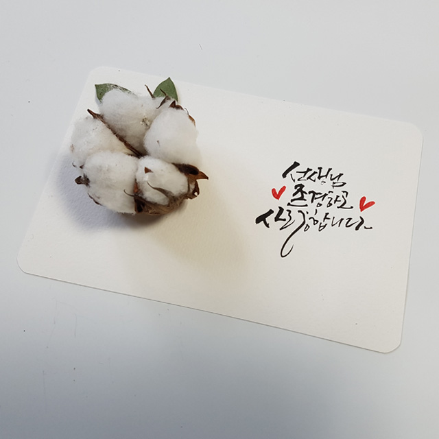 감사선물 캘리그라피 드라이플라워 엽서+고급케이스 카드 주문제작해드립니다 : 캘리늘솜이네