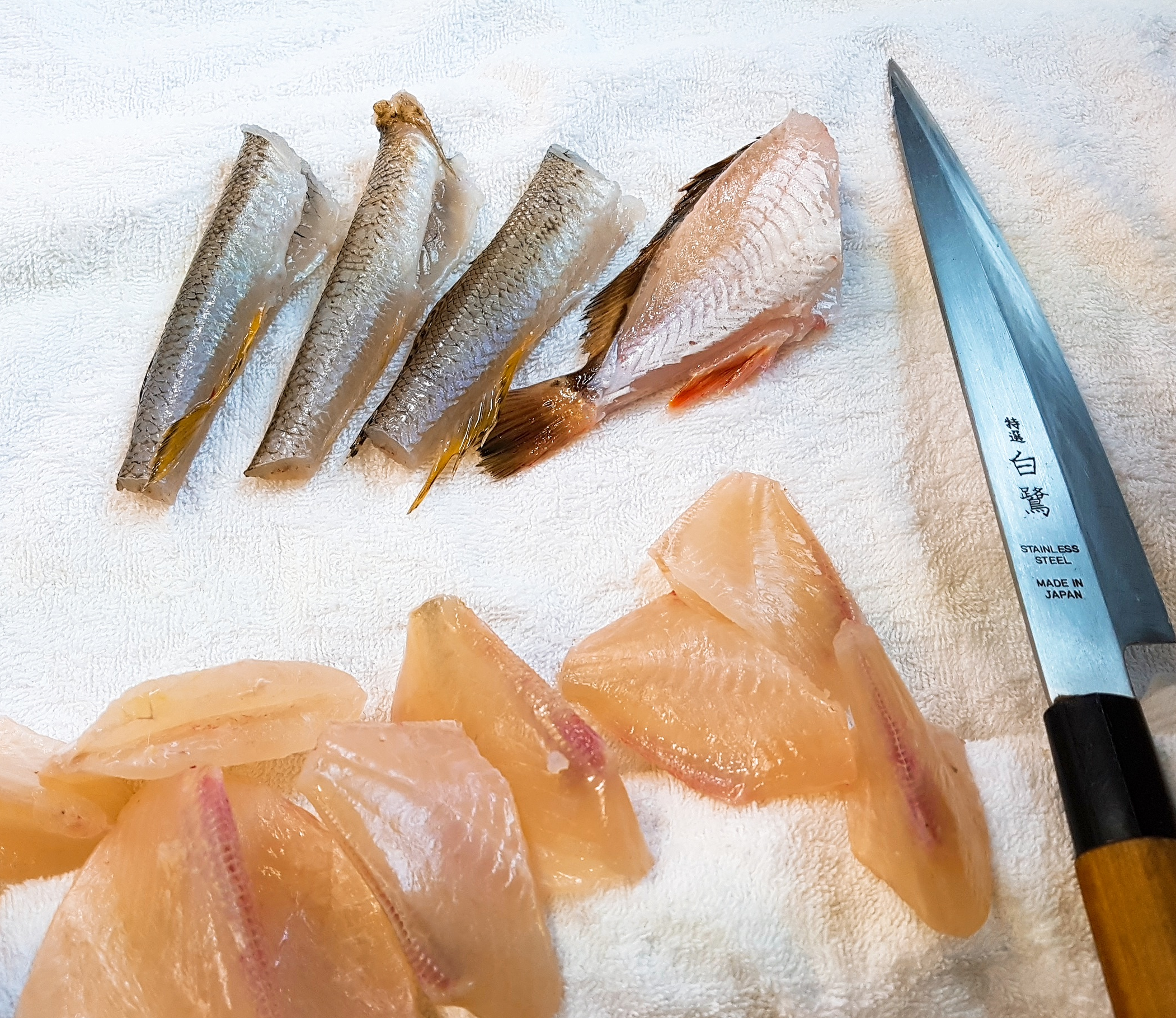 자연산 모듬회 2인분(회 400g) 아침 손질 저녁 도착 : 진해만어부