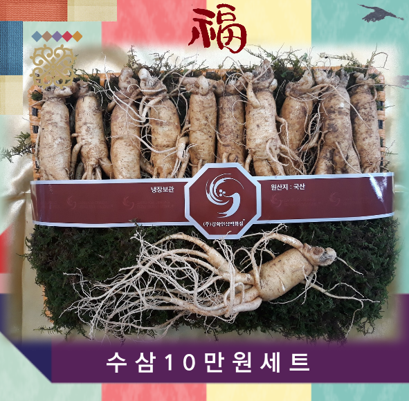 6년근 수삼세트 : 강화인삼백화점