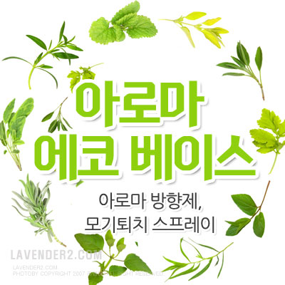 아로마 에코베이스(500ml~1L) : 라벤더솝