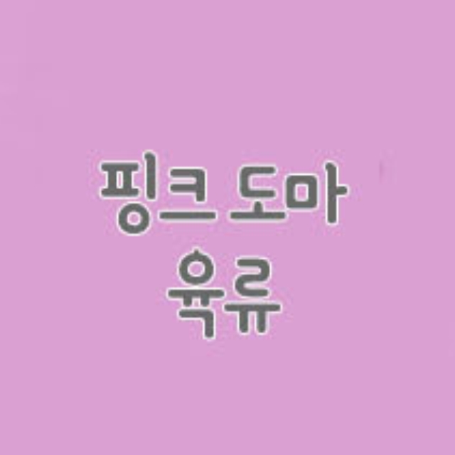 칼러 컬러 캠핑 야외 시트 도마 위생 여행 주방 도마 : 오복상점