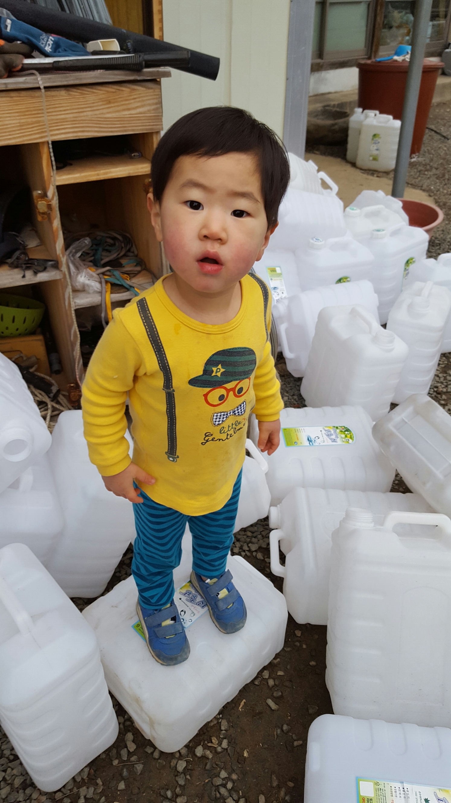 고로쇠수액 효능 믿을수있는 지리산 삼대고로쇠 1.5리터 6병 : 범왕골상회