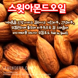 스윗 아몬드오일100ml (Sweet Almond oil) : 라벤더솝