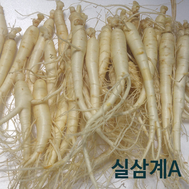 금산 인삼 수삼 삼계탕용 작은 실삼계 실삼계A 세척 4년근 500g : 행복한삼