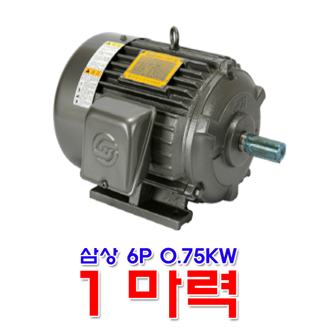 을지전기 삼상 6극 0.75KW 1마력 모터 유도전동기 6P 전폐형 TTH : 금광전업사
