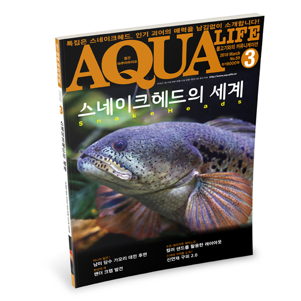 아쿠아라이프 2018년 3월호 : 피알피쉬