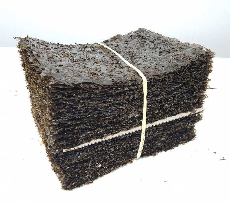 서천 재래김 생김 100장 곱창김 청태김 파래김 햇김 : 광천삼송식품