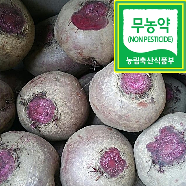 제주고동일농장 건강꾸러미 단비세트 10kg  (무농약 제주미니단호박 5kg + 무농약 제주비트 5kg) : 친환경농산물 제주고동일농장
