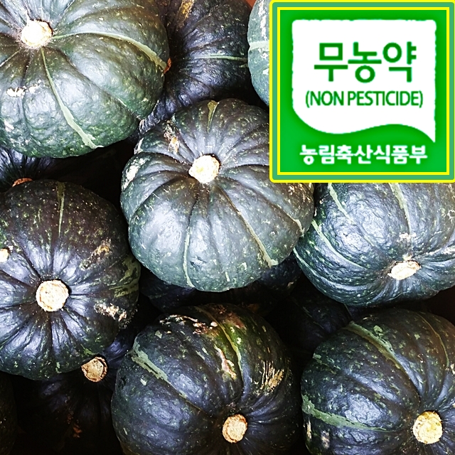 제주고동일농장 건강꾸러미 단비세트 10kg  (무농약 제주미니단호박 5kg + 무농약 제주비트 5kg) : 친환경농산물 제주고동일농장