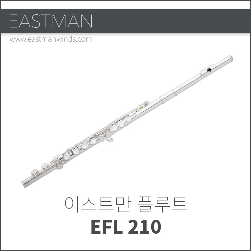 플룻,풀루투,플루트,풀륫,[Eastman] 이스트만 플루트 EFL210 : 비엔나 악기