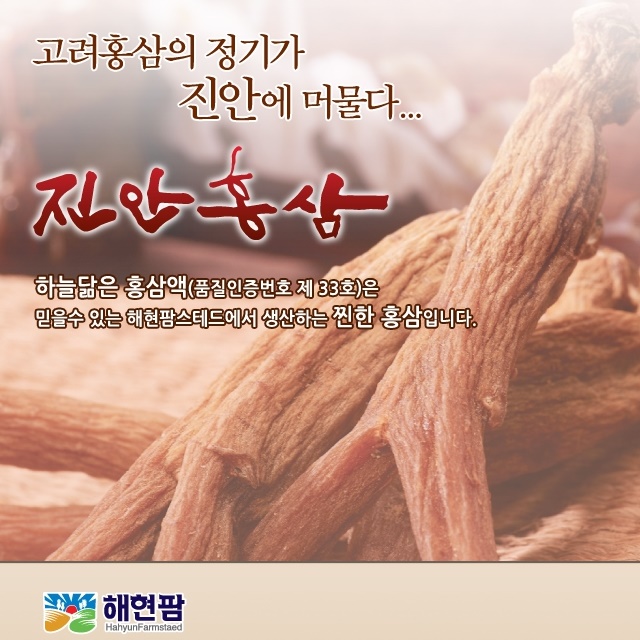 홍삼 홍삼농축액 홍삼엑기스 진안홍삼액90ml30포 진안군품질인증 홍삼분말 면역력홍삼 : 하이팜연합회