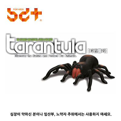 어린이RC완구