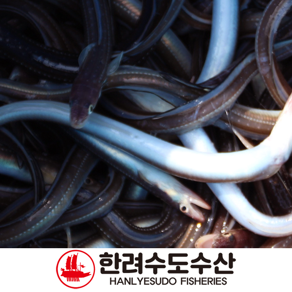 한려수도수산 통영 자연산 바다장어 급냉 머리와 뼈 5kg (장어탕,튀김) : 한려수도수산