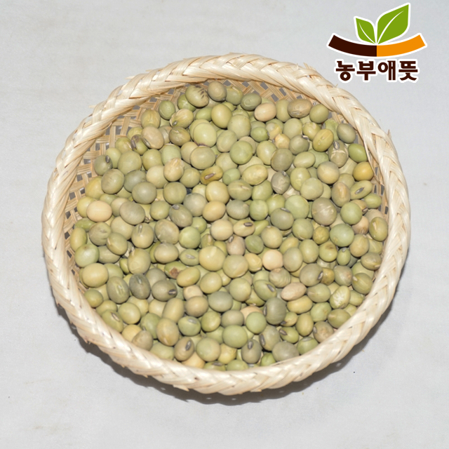 국산 청태콩 500g 푸르대콩 풋콩 청대 : 농부애뜻