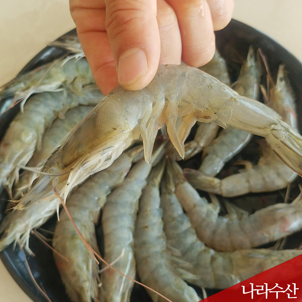 싱싱한 자연산 흰다리새우 대하새우 500g : 나라수산