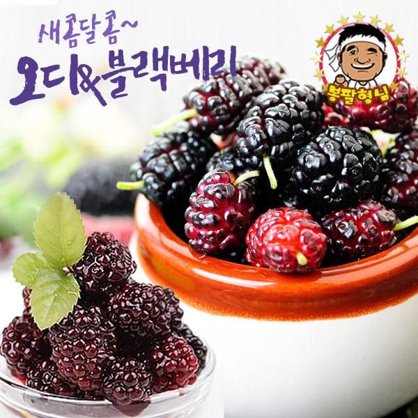 [봉팔형님] 산지직송 블랙베리 5kg 냉동과 슈퍼복분자 상생농법 대용량 복분자 블랙푸드 선물용 실속형 : 봉팔형님